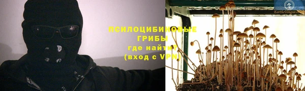 тгк Майский