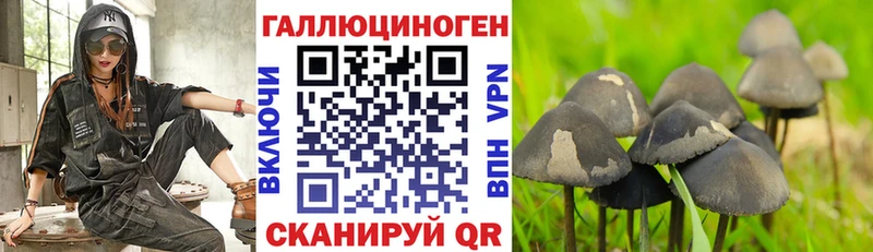 Псилоцибиновые грибы мицелий  Купить закладки  Миньяр 