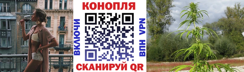 Шишки марихуана планчик Купить Миньяр